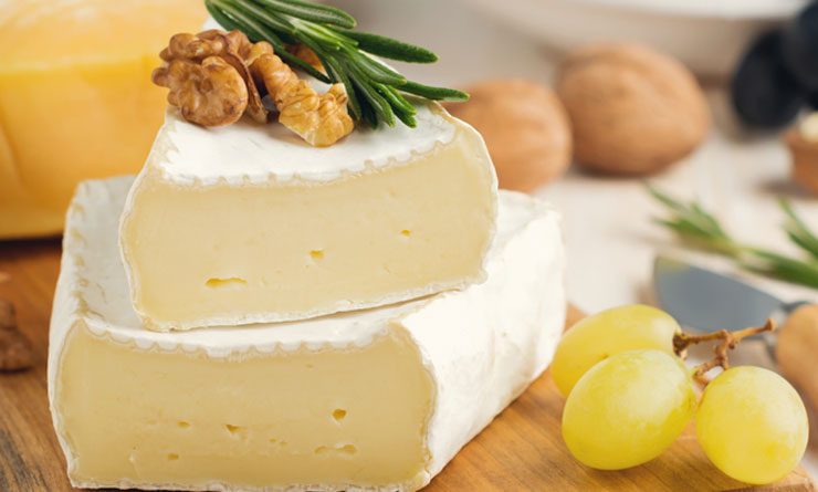 Gönen Peynir Dünyası |