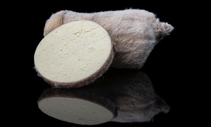 Gönen Peynir Dünyası |